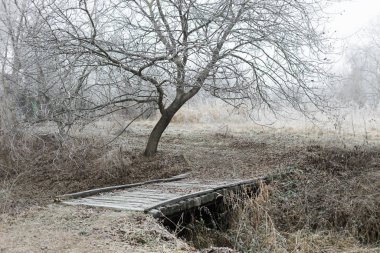 Kış zamanı ormanda donmuş bir köy köprüsü.