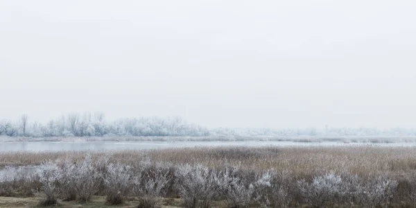Landscape Frosted Fields River Woods Winter Time — 스톡 사진