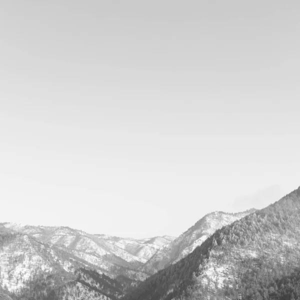 Beau Paysage Noir Blanc Dans Les Montagnes Hiver — Photo