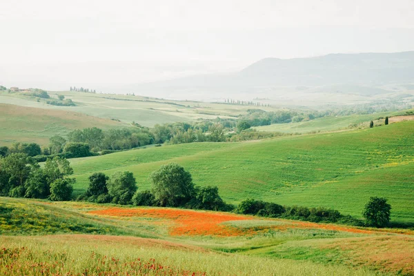 Piękny Krajobraz Wiejski Regionie Val Orcia Toskanii Włochy — Zdjęcie stockowe