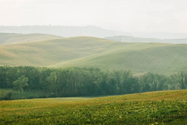 Piękny Krajobraz Wiejski Regionie Val Orcia Toskanii Włochy — Zdjęcie stockowe