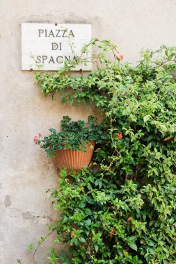 Piazza di Spagna caddesindeki güzel çiçek duvarı Tuscany, İtalya 'da Pienza' da.