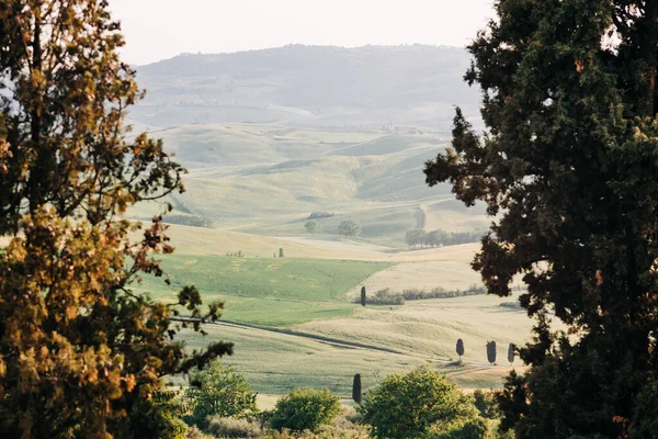 Piękny Krajobraz Wiejski Toskanii Włochy — Zdjęcie stockowe