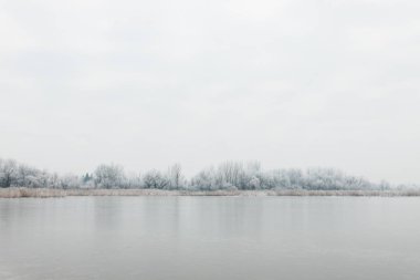 Kış sabahı donmuş bir gölün manzarası