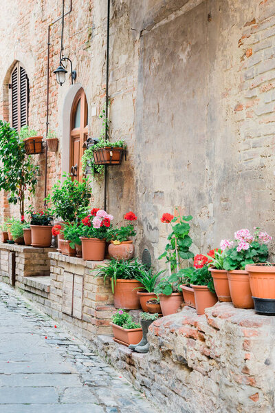 Beautiful flowerpots by a rustic wall in Tuscany, Italy