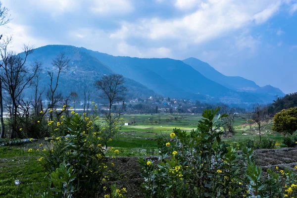 Terras Agrícolas Aldeia Nepal Através Fábrica Óleo Mostarda — Fotografia de Stock