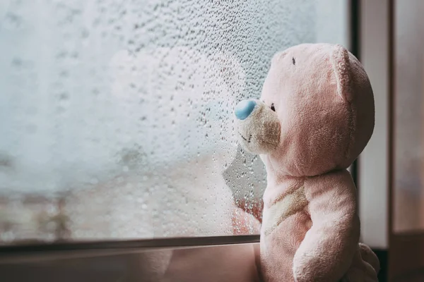 Toy Pink Sad Bear Looking Out Window Missing Autumn Rainy — Stock Photo, Image