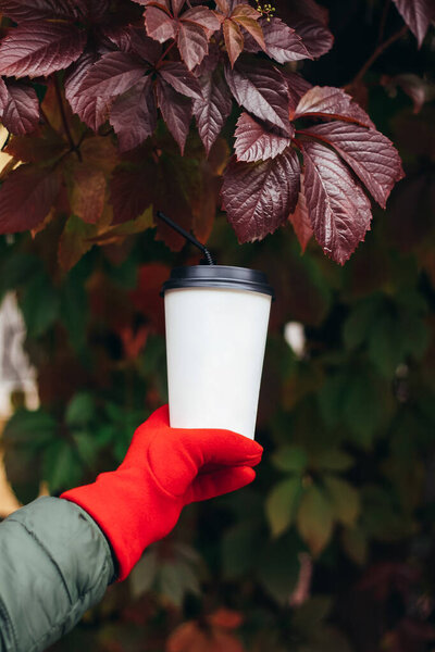 cropped shot of woman in red glove holding paper cup of coffee on natural background