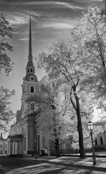 Petropavlovski kubbesi, Petropavlovskaya kalesinin ana binası, Neva nehri, St-Petersburg, Rusya