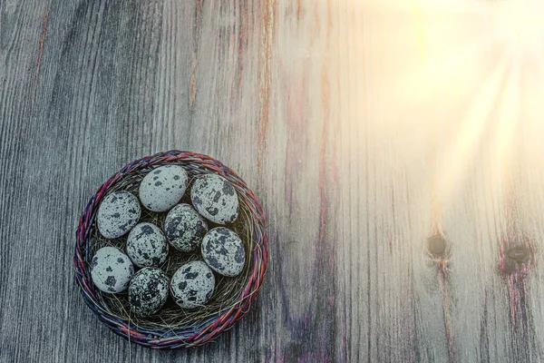 Kuş yuvası ahşap bir yüzeyde yumurtalarla dolu, güneş ışığında, yatay..