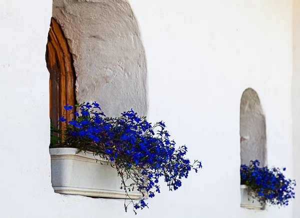 Mavi çiçeklerle süslenmiş iki pencereli duvar.