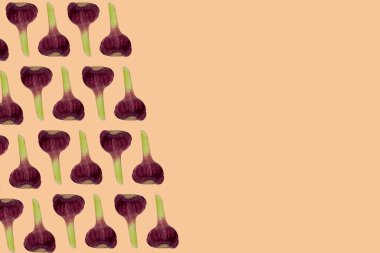 Turuncu arkaplanda yazı için yer alan sarımsak ampulü deseni