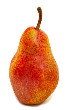 Tek armut beyazda izole edilmiş.