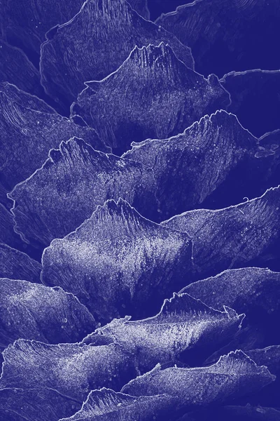 Ladin konisinin soyut deseni mavi detay