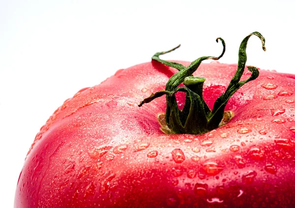 Taze domates yakın çekim beyaz üzerinde izole