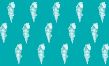 Turkuvaz arka planda bembeyaz deniz kabuğu şekilleri