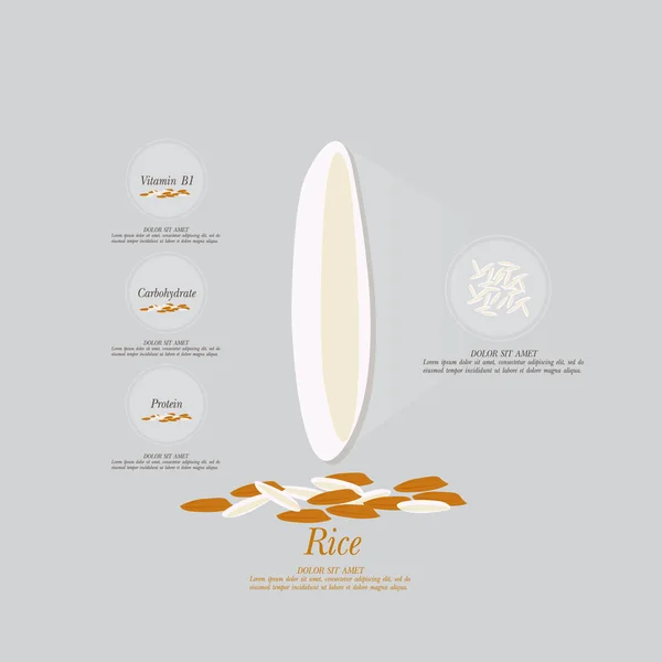 Rice vector eps10 Stock Vector by ©suriya9 158830536