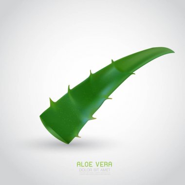 aloe vera with fresh drops of water clipart