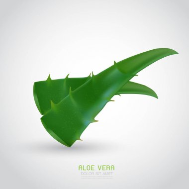 aloe vera ile taze su damlaları