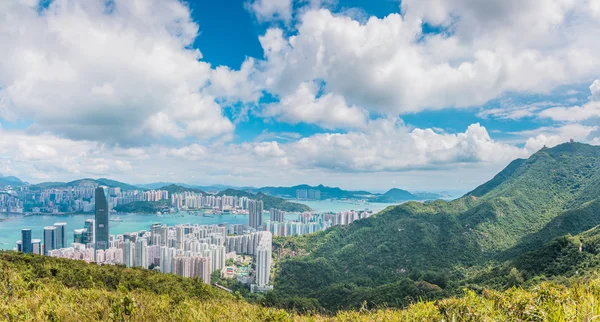 香港ハーバー全景 — ストック写真