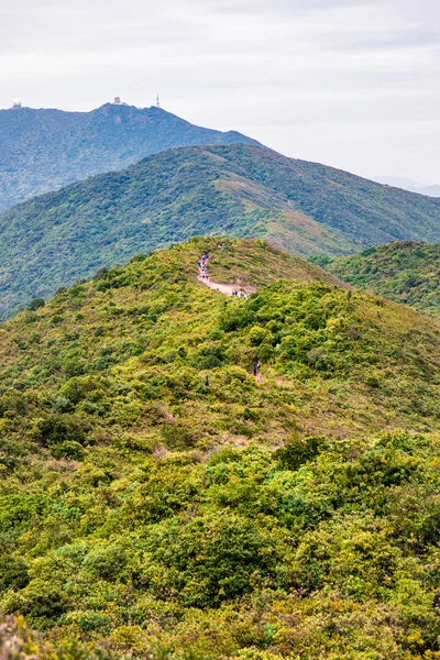 Drak zpět trail v Hong Kongu — Stock fotografie