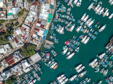 Limanda, Sai Kung yat