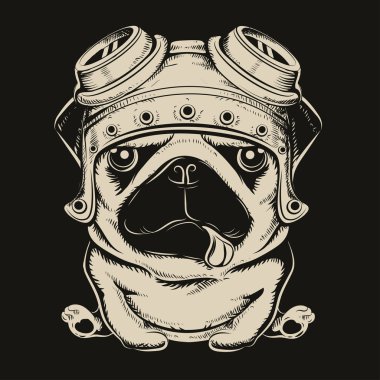Pug dog. Renk vektörü illüstrasyonu