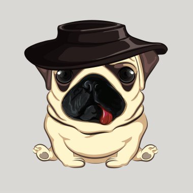 Pug dog. Renk vektörü illüstrasyonu