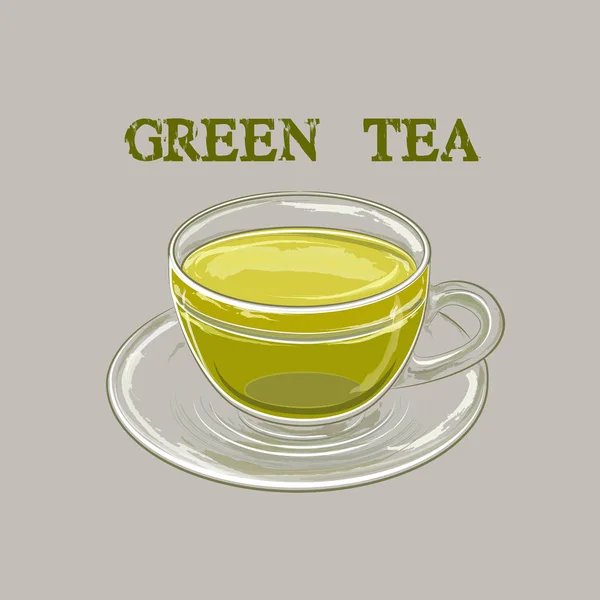 Illustrazione Vettoriale Tazza Verde — Vettoriale Stock