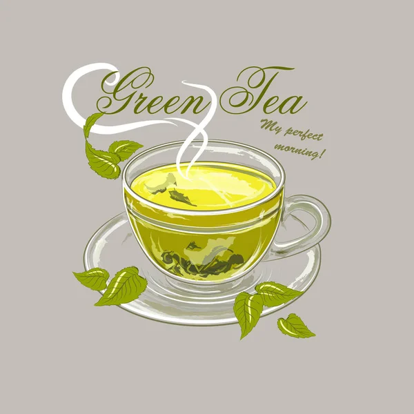 Εικονογράφηση Φορέας Φλιτζάνι Πράσινο Τσάι — Διανυσματικό Αρχείο
