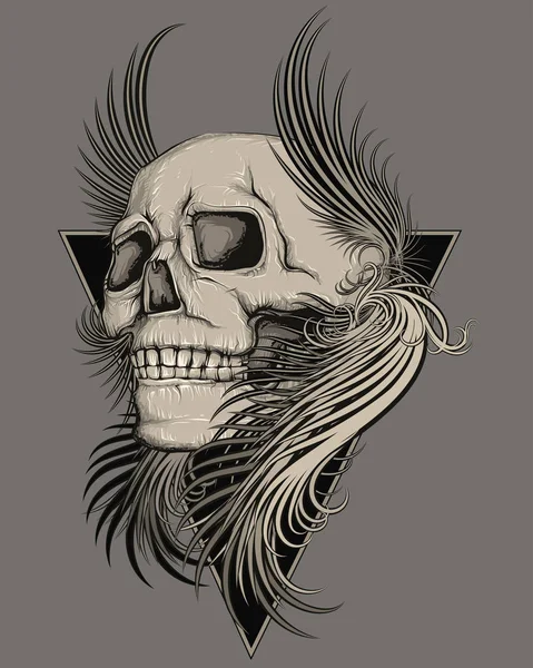 Skull Feathers Vector Illustration — 스톡 벡터