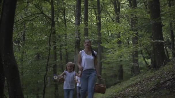森の中をハイキングの冒険に家族 針葉樹林の中を歩いている母娘の幸せな家族 両親は子供に美しい木を見せている 子供たちはキノコを選び — ストック動画