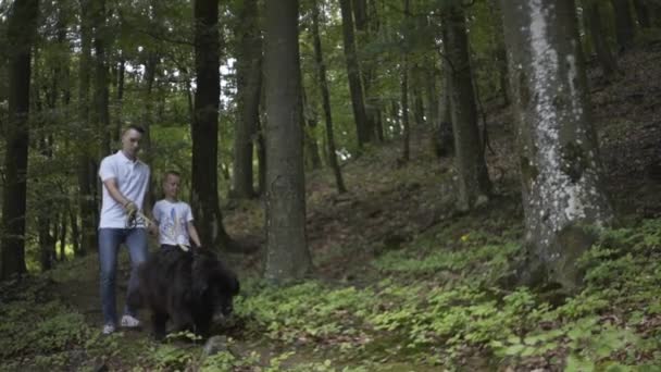 Rodzina Psem Spacerującym Lesie Zbierającym Grzyby — Wideo stockowe