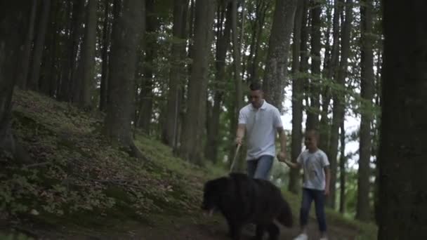 Famiglia Con Cane Che Passeggia Nel Bosco Raccogliendo Funghi — Video Stock