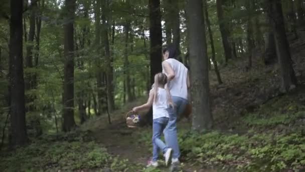Familie Mit Hund Geht Wald Spazieren Pilze Sammeln — Stockvideo
