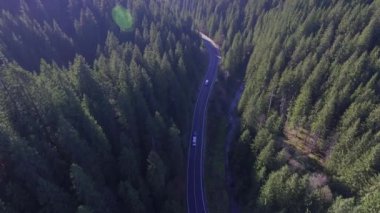 Karpatlar, bir dron üzerinde, ormanın üzerinde, ormanda iz sürüyorlar.