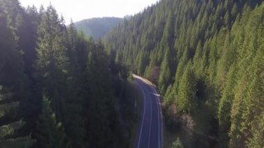 Karpatlar, bir dron üzerinde, ormanın üzerinde, ormanda iz sürüyorlar.