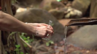 Sri Lanka 'daki kız arkeolog ormanı geziyor, kazılar, eski kalıntılar...