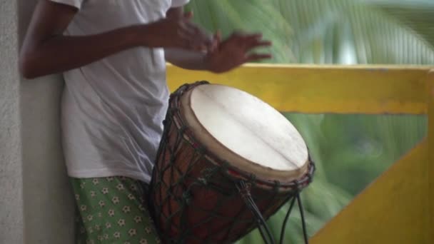 Man Leeft Jungle Het Leven Van Jungle Palmbomen Een Natuurlijk — Stockvideo