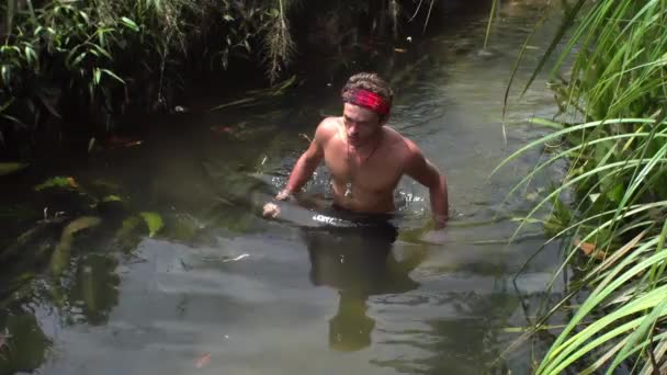 Tipo Vive Selva Vida Selva Palmeras Fenómeno Natural Lluvia Trópicos — Vídeos de Stock