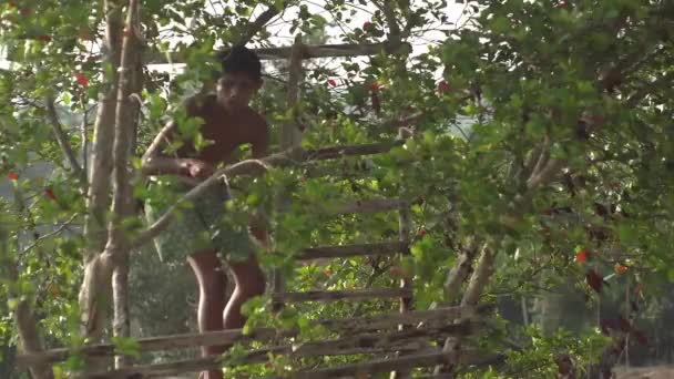 Man Leeft Jungle Het Leven Van Jungle Palmbomen Een Natuurlijk — Stockvideo