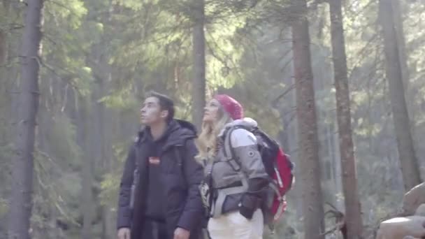 Mec Avec Une Fille Fait Une Randonnée Sommet Montagne Travers — Video