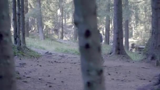 Ragazzo Turistico Viaggio Nel Dolore Solo Cerca Avventura Piedi Vicino — Video Stock