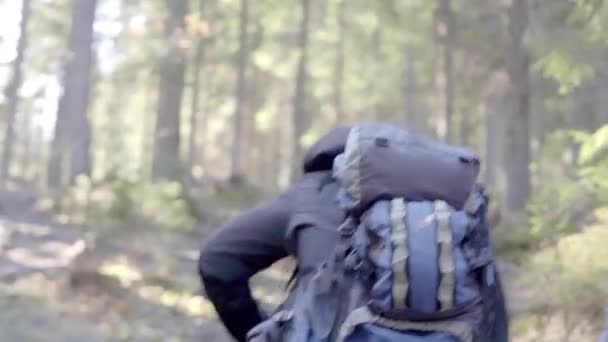 女の子のいる男がハイキングに行き山の中の川や森を通って山の頂上に行き — ストック動画