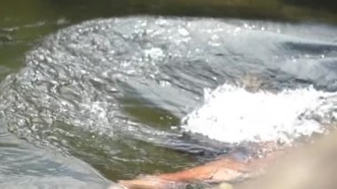 Adam ormanda yaşıyor, orman hayatı, palmiye ağaçları, doğal bir olay, yağmur, tropik bölgeler.