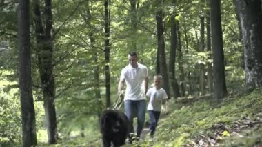 Ormanda Aile Yürüyüşü Macerası. Anne, baba ve kızlarının mutlu aileleri kozalaklı ormanda el ele yürüyorlar. Ebeveynler çocuklara güzel ağaçlar gösteriyor. Çocuklar mantar toplar.