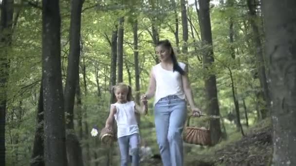 森の中をハイキングの冒険に家族 針葉樹林の中を歩いている母娘の幸せな家族 両親は子供に美しい木を見せている 子供がキノコを選ぶ — ストック動画