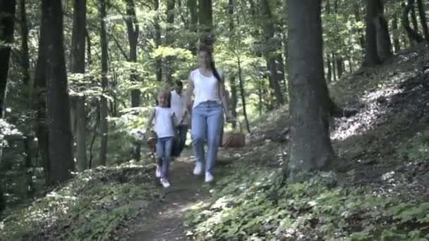 Ormanda Aile Yürüyüşü Macerası Anne Baba Kızlarının Mutlu Aileleri Kozalaklı — Stok video