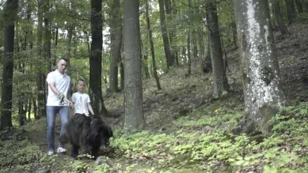 Familie Auf Wanderabenteuer Durch Den Wald Glückliche Familie Aus Mutter — Stockvideo