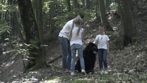 Familie Auf Wanderabenteuer Durch Den Wald Glückliche Familie Aus Mutter — Stockvideo